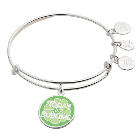 Alex and Ani Today is Sublime' Charm Bangle