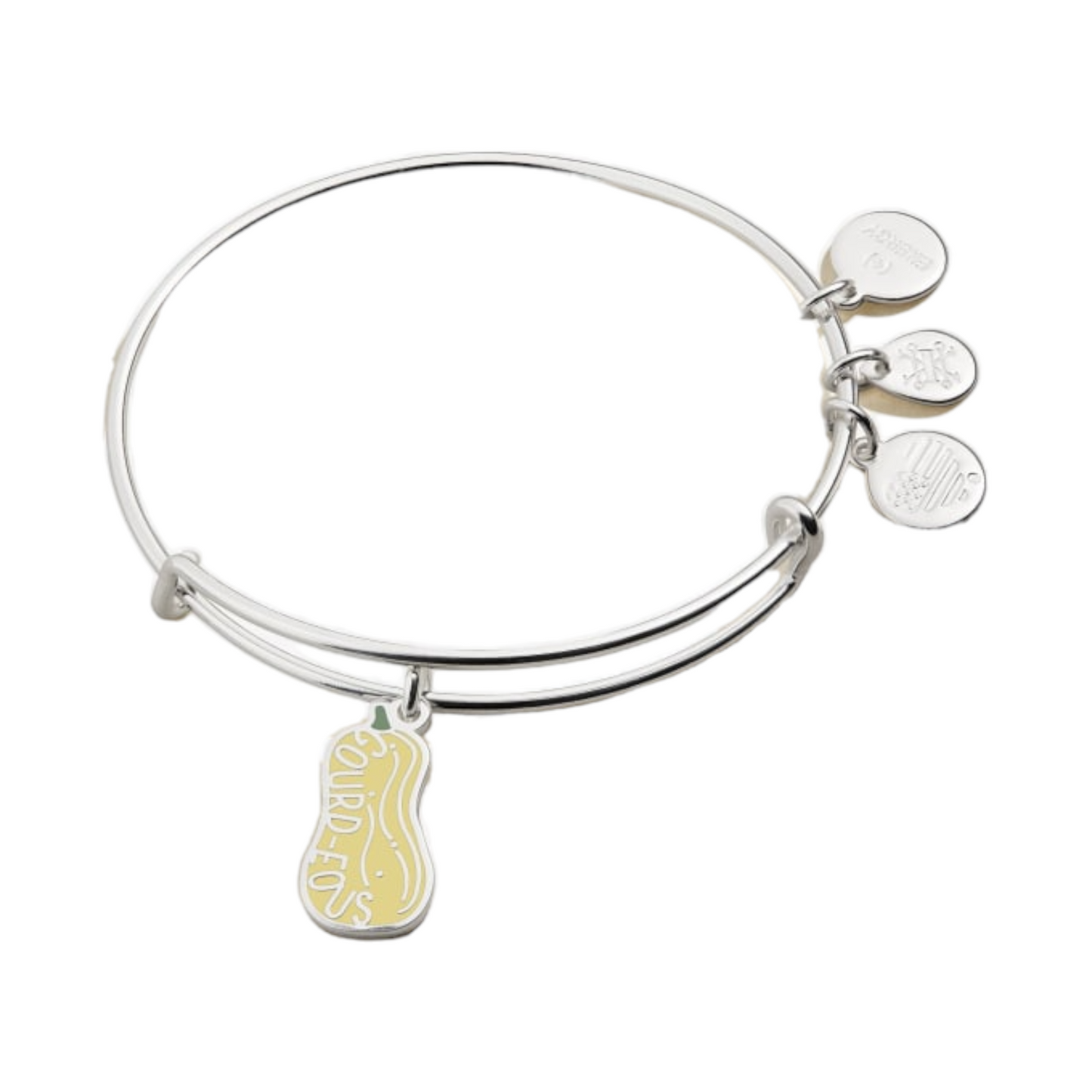 Alex and Ani 'Gourd-eous' Charm Bangle