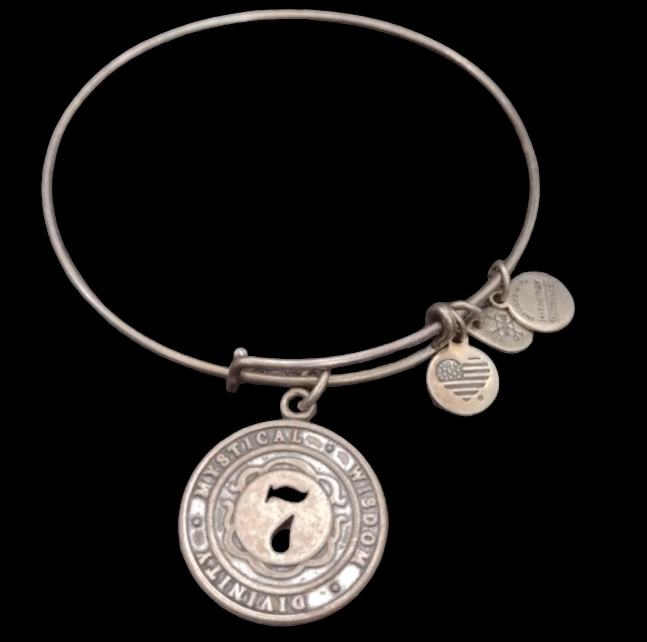 Alex and Ani Number 7 Charm Bracelet