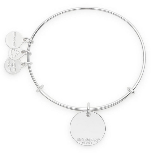 Alex and Ani Just a Phase Color Infusion Charm Bangle