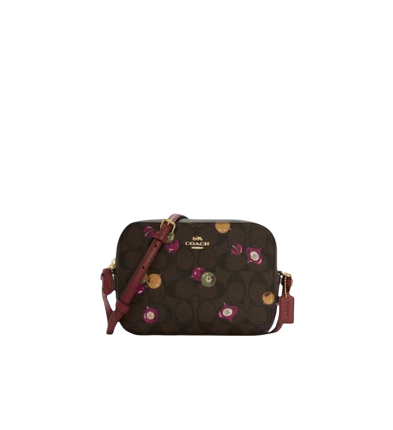 Coach Mini Camera Bag In Signature Canvas with Ornament Print - Style No. C6904