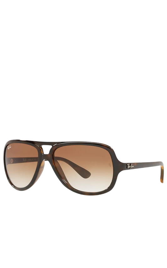 Ray-Ban 4162 Sunglasses