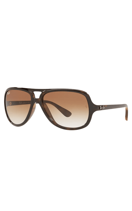 Ray-Ban 4162 Sunglasses