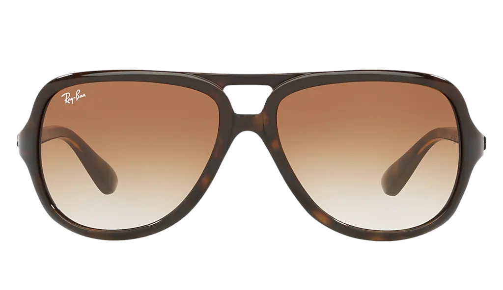 Ray-Ban 4162 Sunglasses