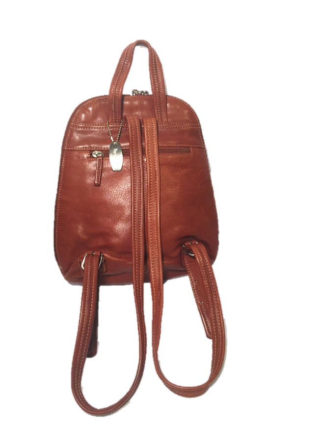 Tignanello 2025 backpack purse