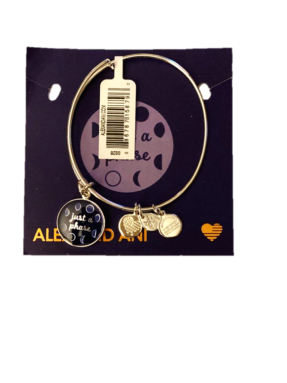 Alex and Ani Just a Phase Color Infusion Charm Bangle