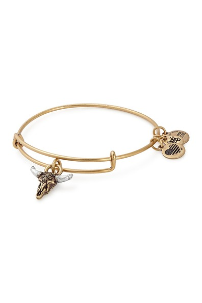 Alex and Ani Spirited Skull Charm Bangle