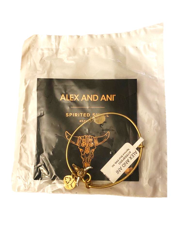 Alex and Ani Spirited Skull Charm Bangle Repeat Love