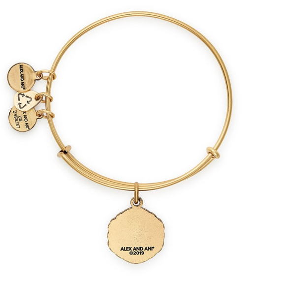 Alex and Ani Tap Into Your Intuition Charm Bangle
